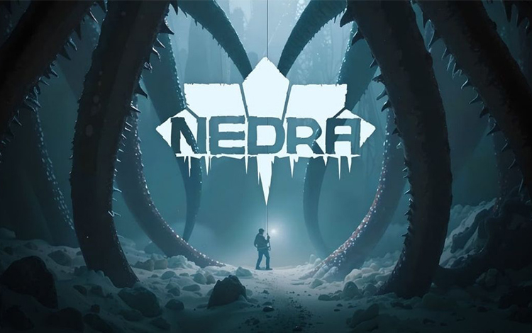 Nedra