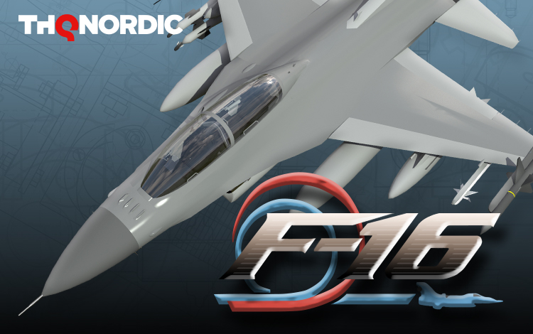 F-16 Multirole Fighter
